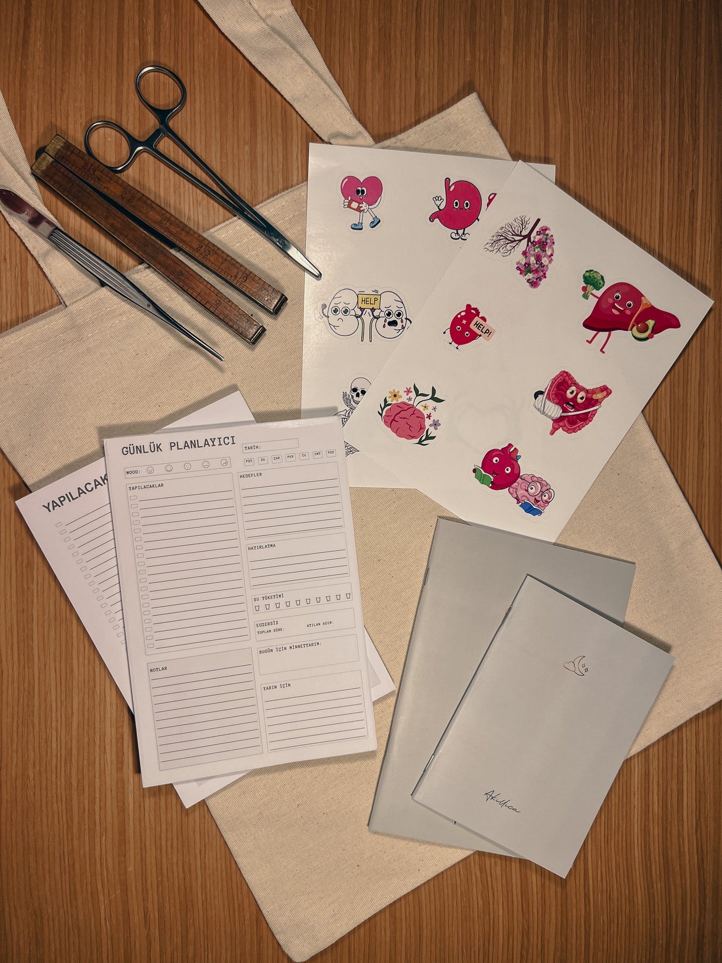 Tıp Fakültesine Hoşgeldin - Basic Set